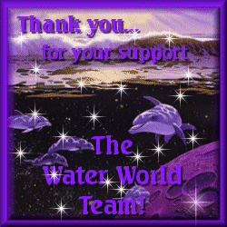 thank you gift